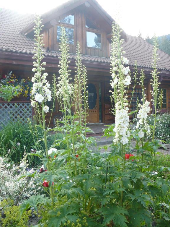 Hitching Post Resort Kelowna Rum bild