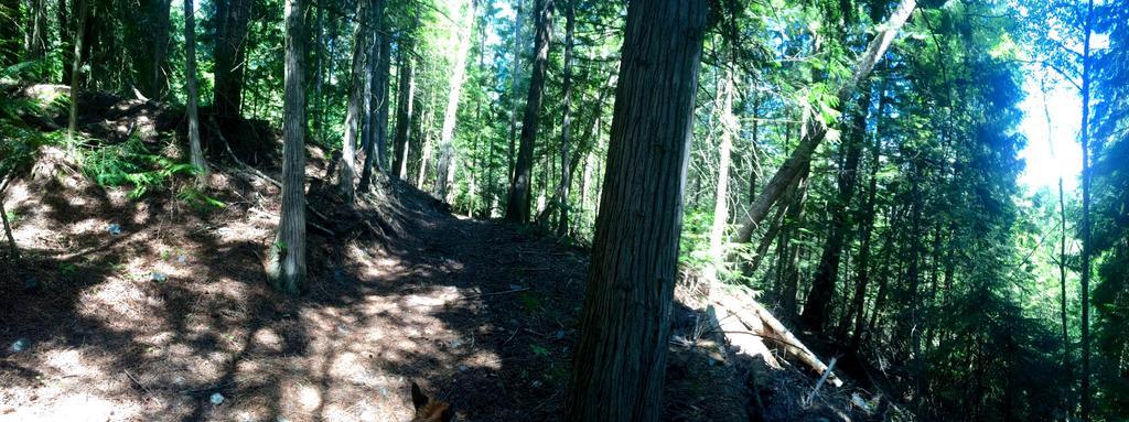 Hitching Post Resort Kelowna Exteriör bild